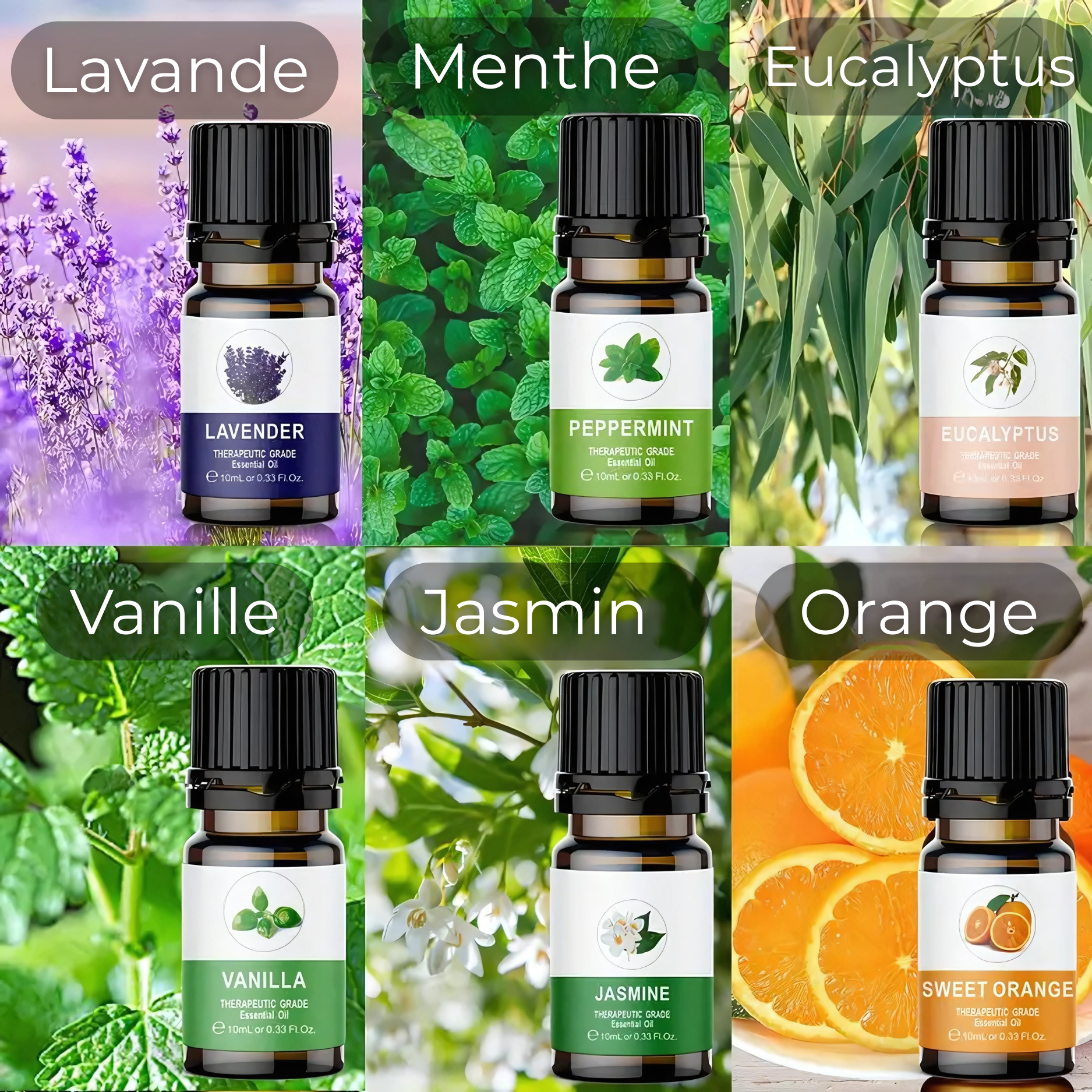 Coffret 6 Huiles Essentielles pour Diffuseur de Voiture